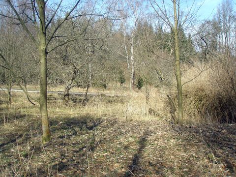 Foto 16